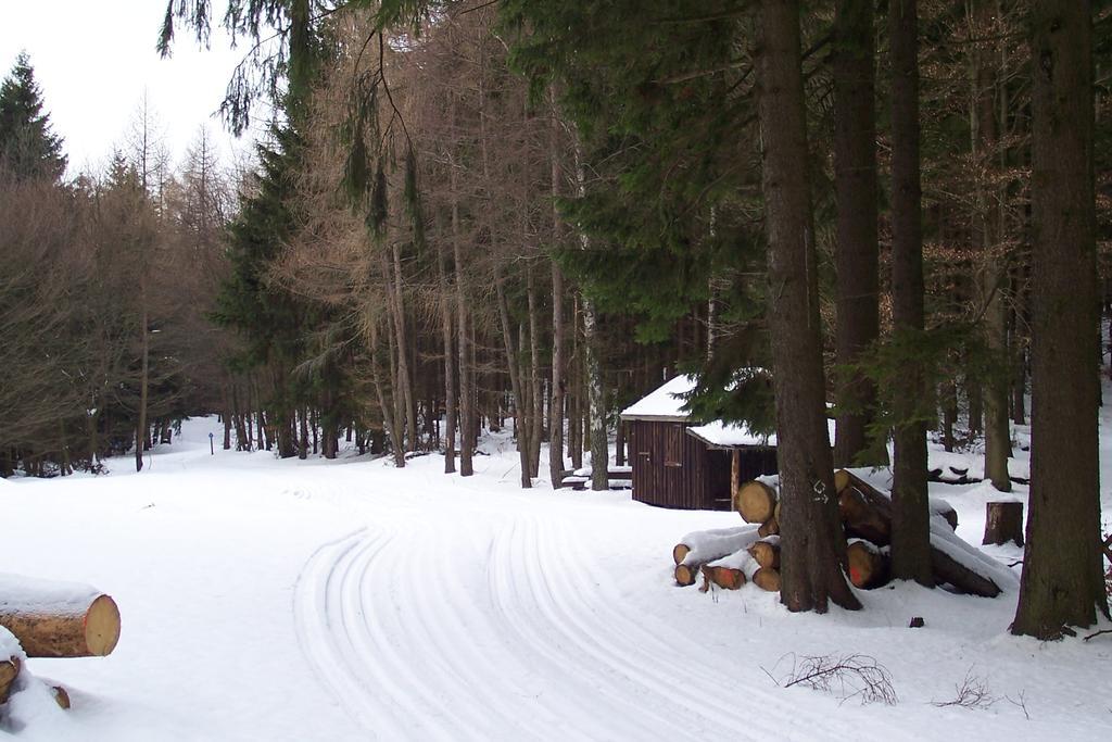 Fewo Wilke Виллинген Экстерьер фото